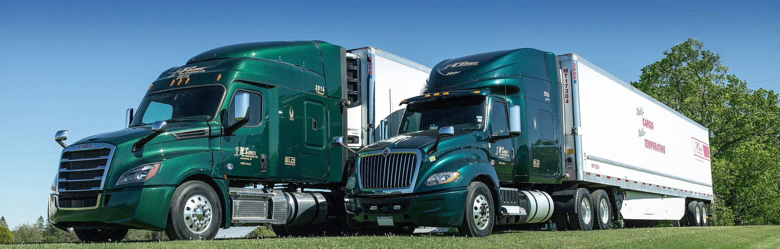 Two McConnell Transport trucks parked side by side on grass, with trees in the background